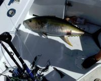 299985426 2412549075564307 n