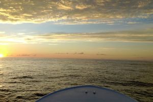 300010524 2412555848896963 n