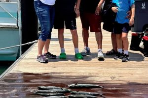 514513959 1218364316749011 n