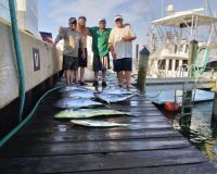 514662064 1218364126749030 n