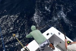 va beach offshore fishing 10 20200426