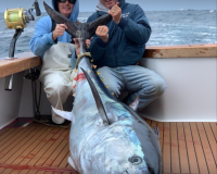 va beach offshore fishing 20 20200426