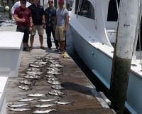 va beach offshore fishing 4 20200426