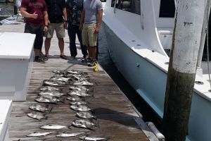 va beach offshore fishing 4 20200426