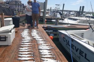 va beach offshore fishing 5 20200426